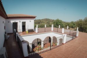 Centro de yoga en la naturaleza