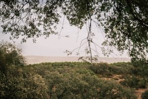 Practicar yoga en la naturaleza